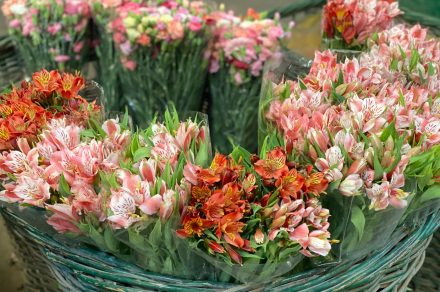 Mercado de Flores: crónica de una mañana entre aromas y colores