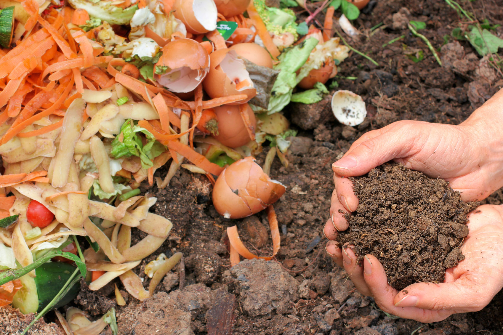 Mes del Compostaje: cómo transformar los residuos en abono en casa