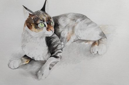 Ilustradora transforma tu gatito en una pieza de arte