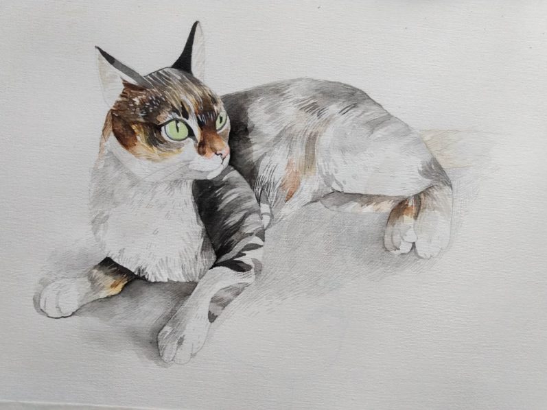 Ilustradora transforma tu gatito en una pieza de arte