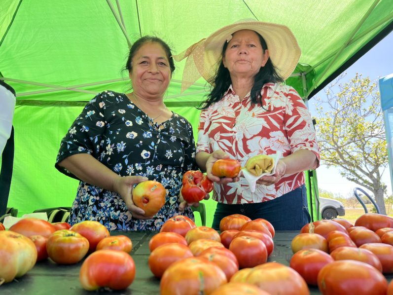 20° Fiesta del Tomate Platense en Gorina