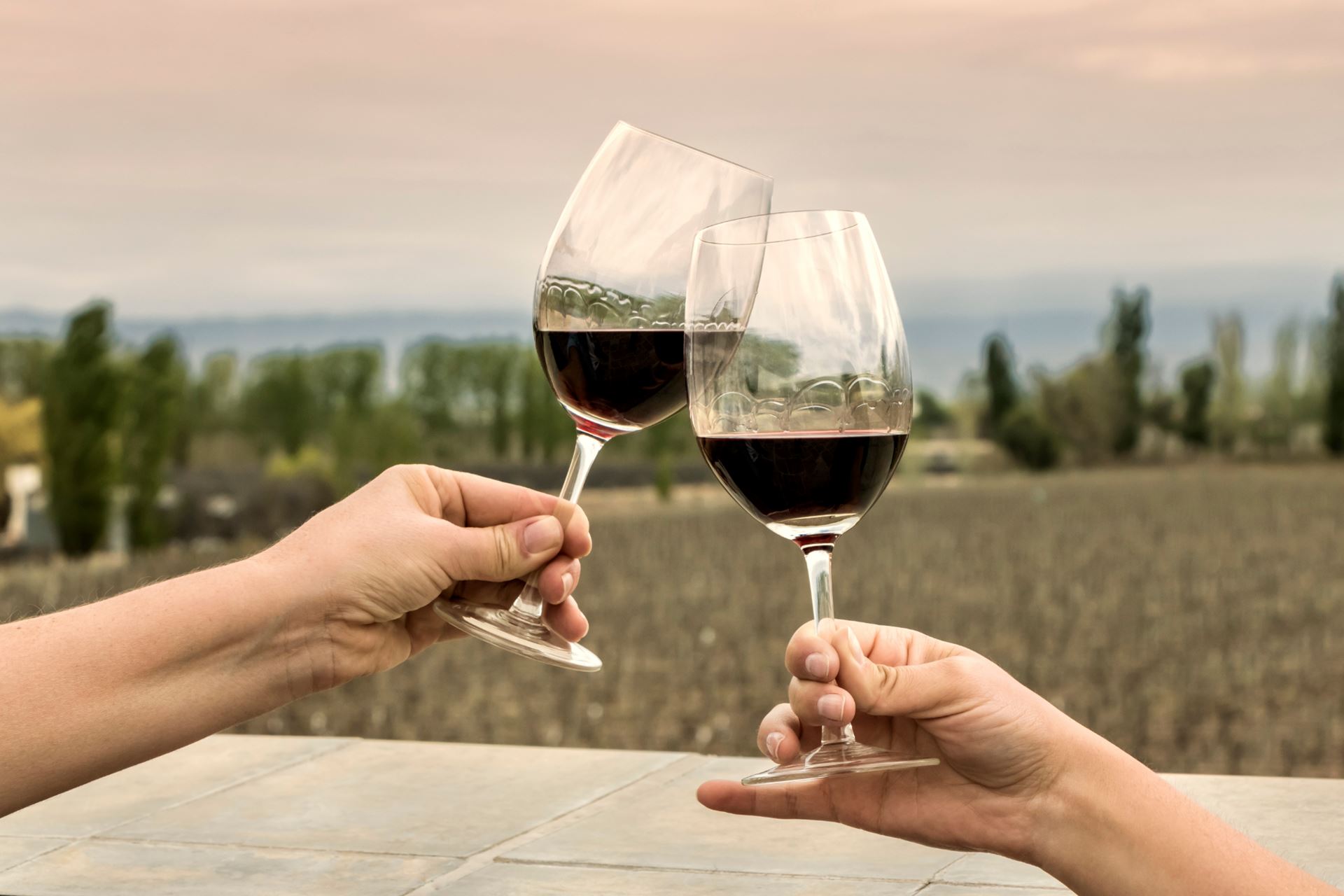 Winery Booking: reservar tu visita a la bodega en tres clicks