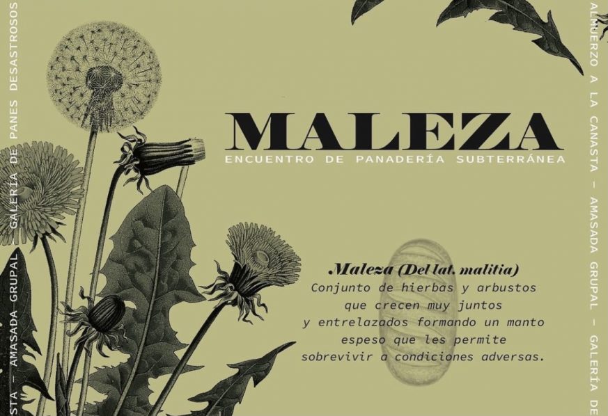 Maleza: encuentro de panaderos en Ancona