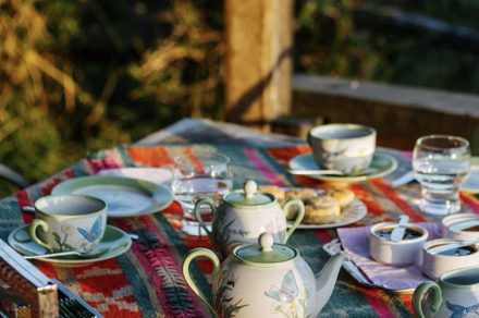 Dia de campo y té en La Bandada