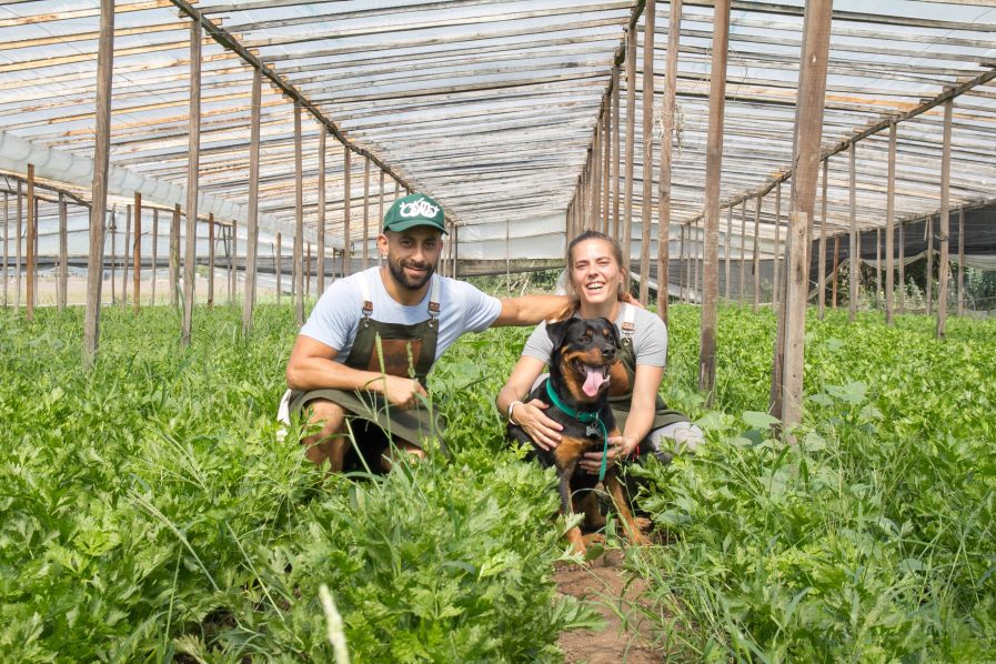 Taller de Alimentación Vegana y Vegetariana