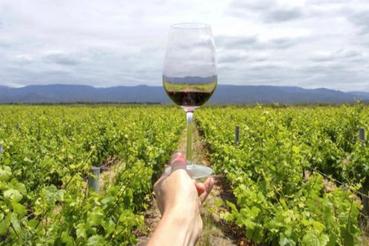 La ruta de los vinos calchaquíes en Tucumán