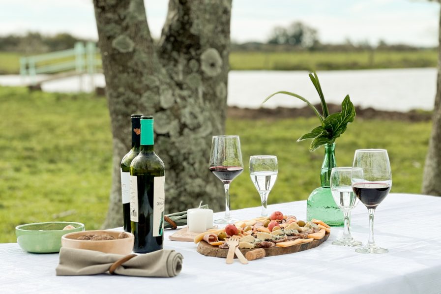 Vino y Fogón en un campo de Bavio