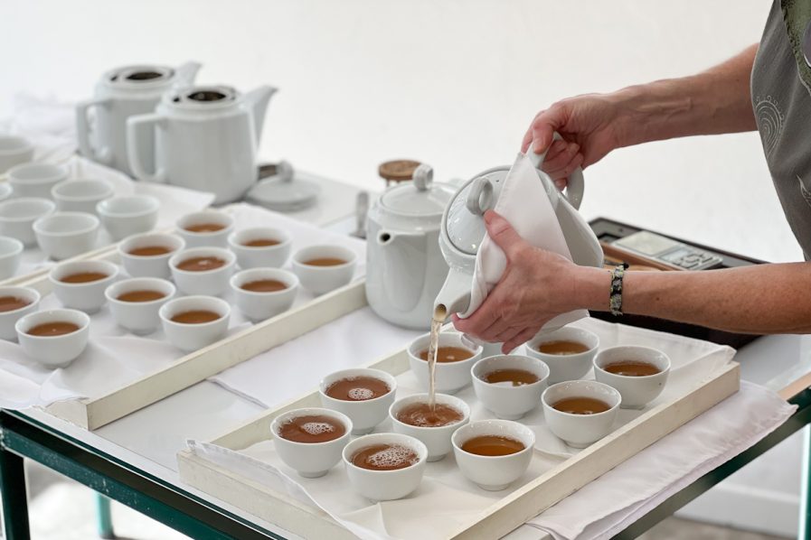 Catas de té: una oportunidad para conocer más y entrenar los sentidos