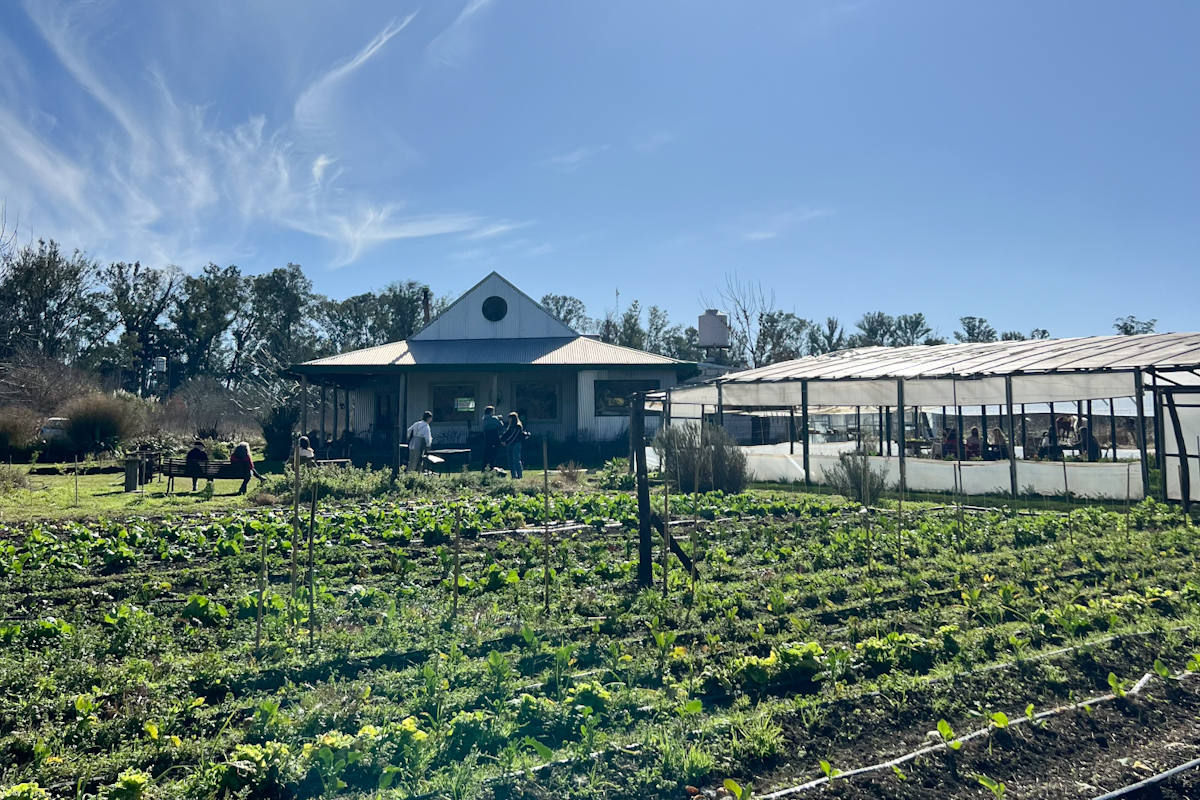 City Bell: Festival Agroecológico en la huerta de Coronillo