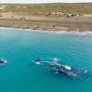 Las Canteras: la playa argentina que compite con las mejores de Sudamérica