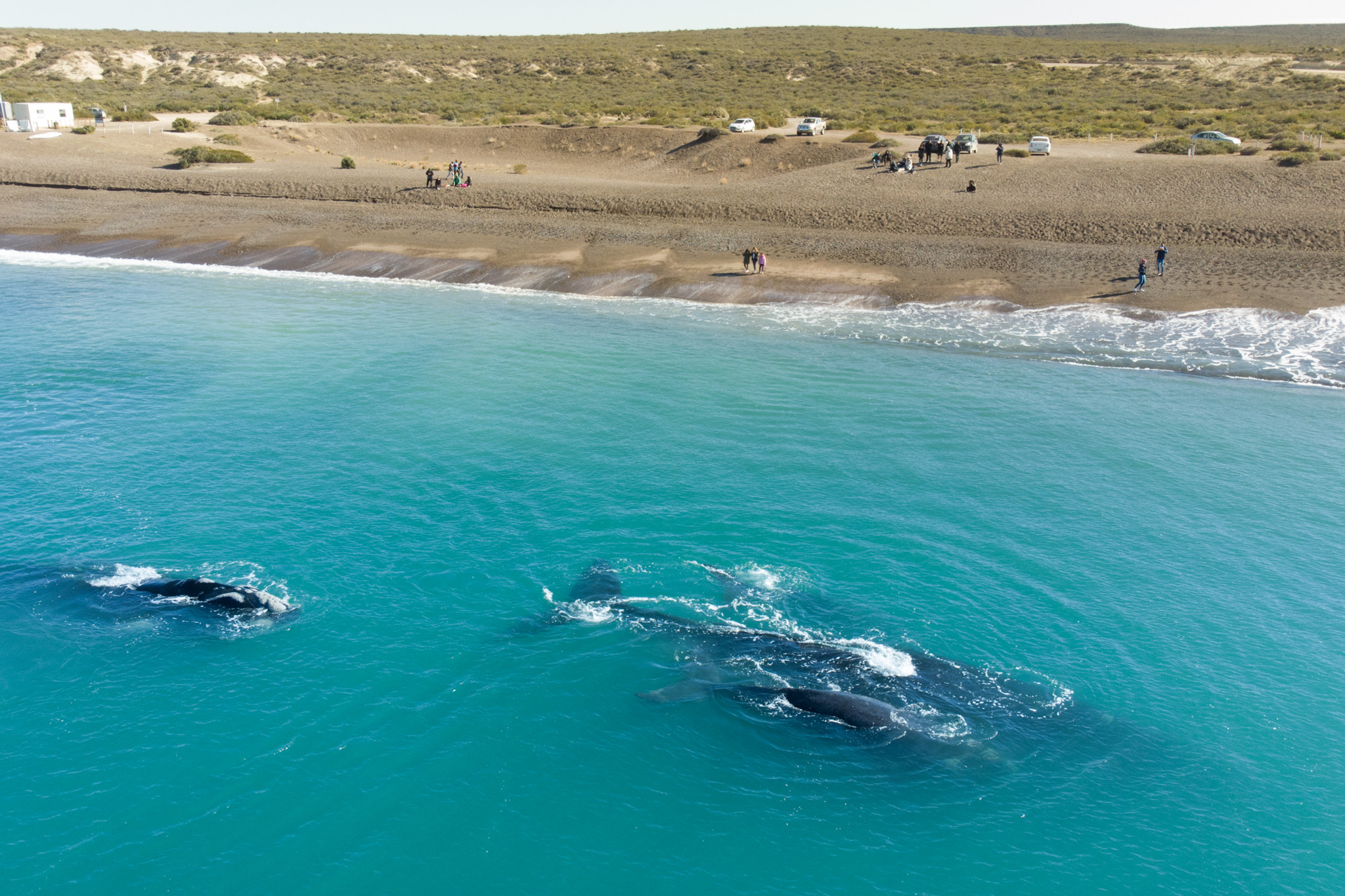 Las Canteras: la playa argentina que compite con las mejores de Sudamérica