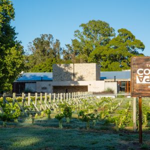 Enoturismo en Mar del Plata: viernes especiales en Bodega Costa & Pampa