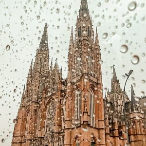 Finde de otoño lluvioso: planes para hacer bajo techo en La Plata
