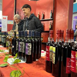 Fiesta del Vino de la Costa en Berisso