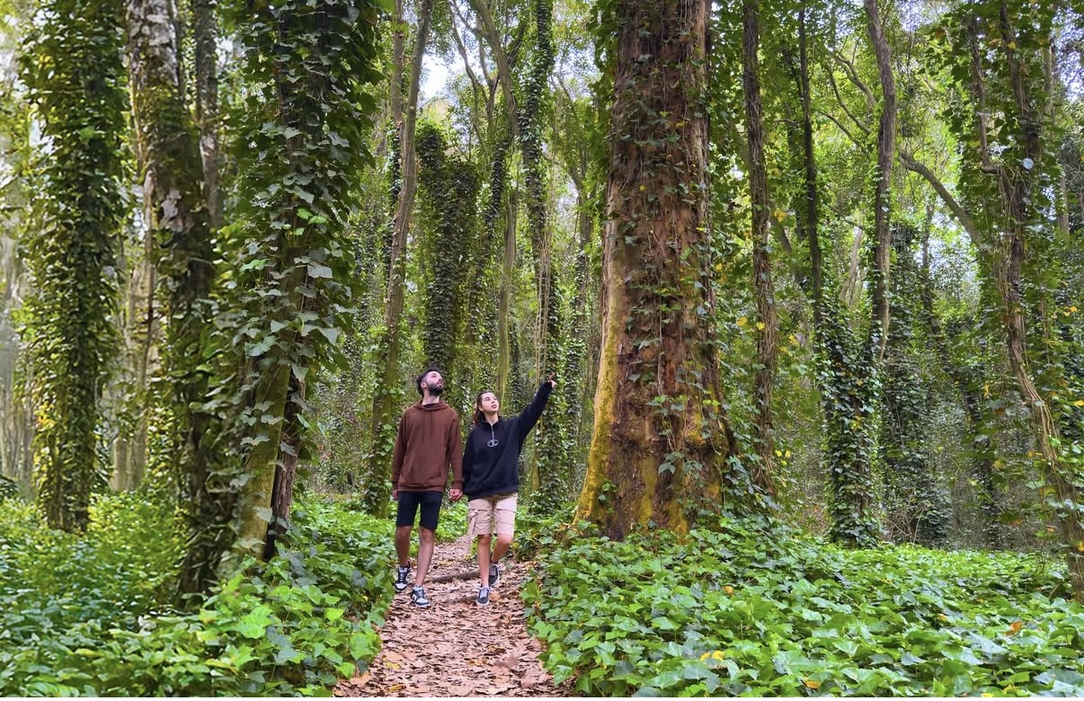 Ir y venir en el día. 3 lugares para escaparse de la ciudad y hacer algo distinto