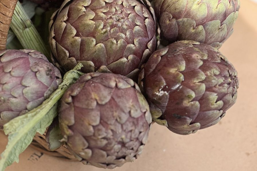 La Plata celebra el alcaucil: cita en Meridiano V