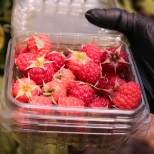 Escapada gourmet a Bavio: clase de cocina, frambuesas y mega merienda en el campo