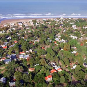 Dunamar: la playa bonaerense poco conocida con un inmenso bosque