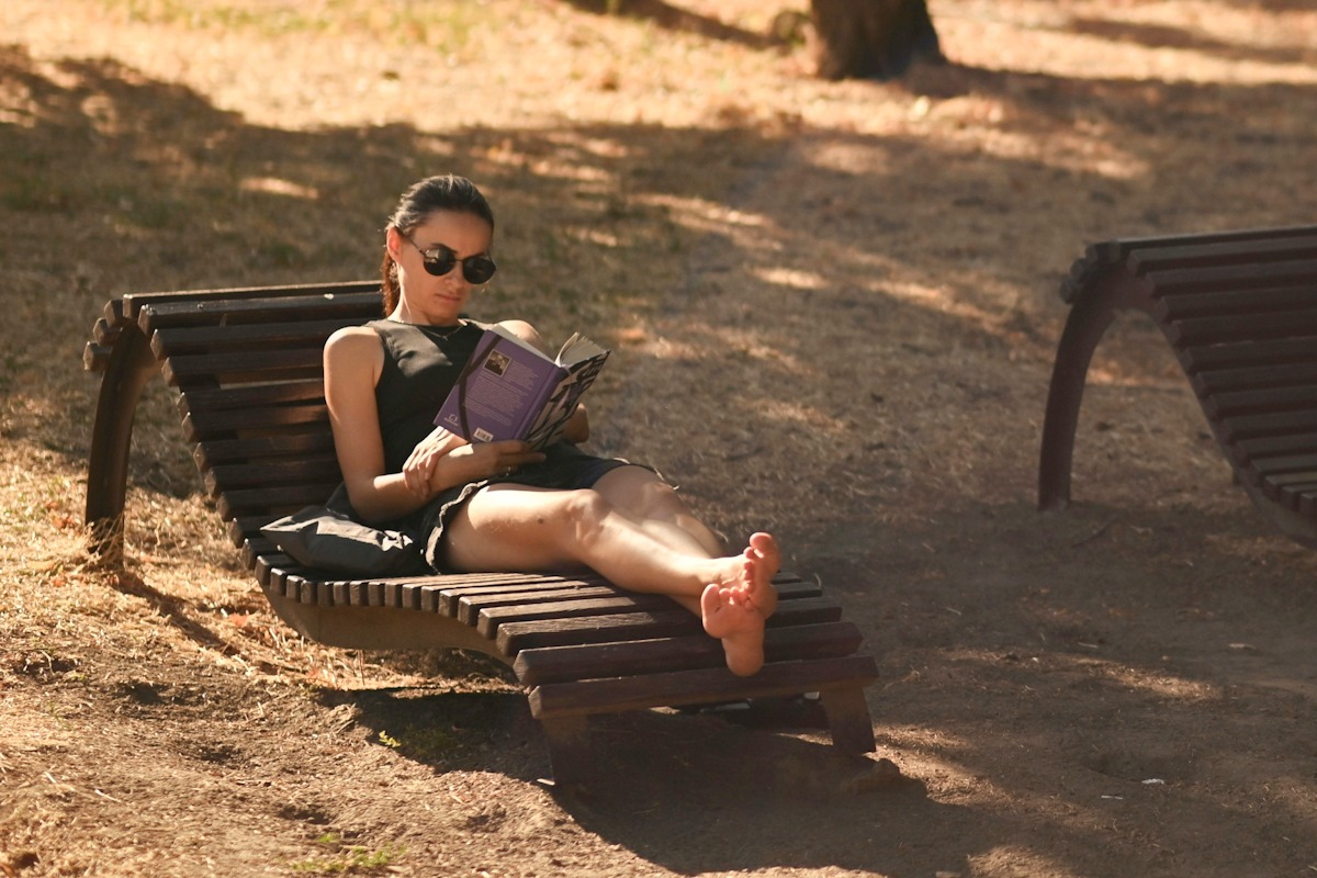 ¿Qué leer este verano? Seis libros de ficción para disfrutar al aire libre
