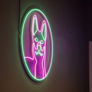 Diez Dingos dice adiós y se despide con una serie de reencuentros