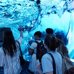 Feria Puro Diseño: más que una feria una experiencia de diseño